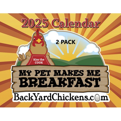 2 Pack - 2025 Calendar-Free US Shipping